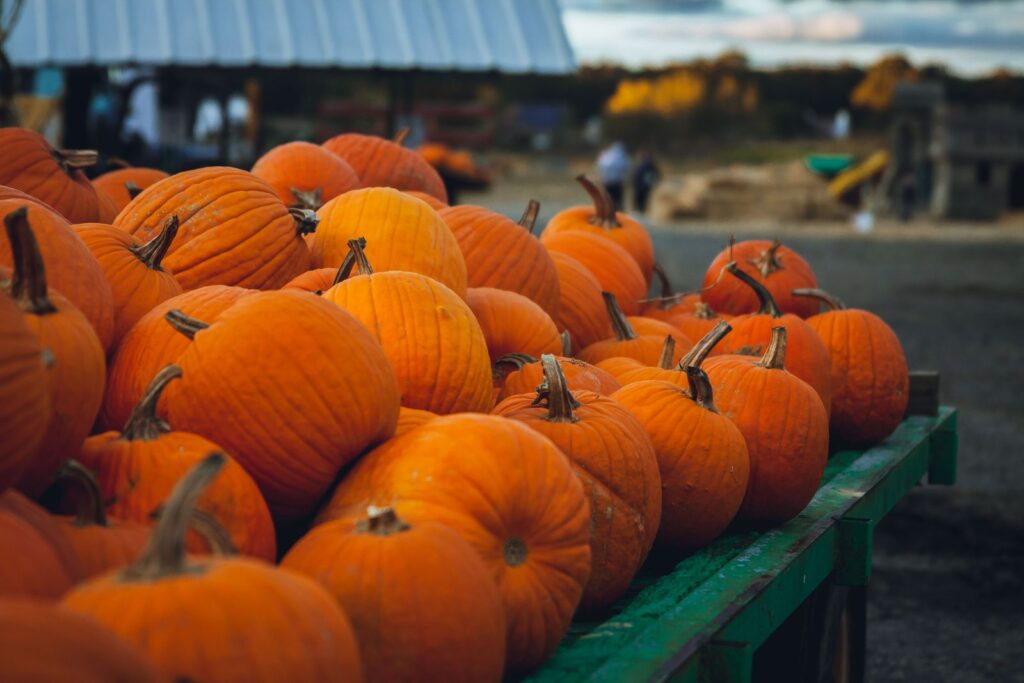 Pumpkins stacked at a farm stand
