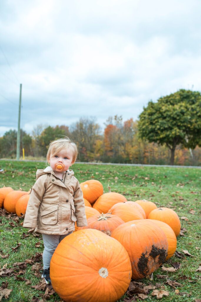 Little one picking a pumpkin at a pumpkin patch